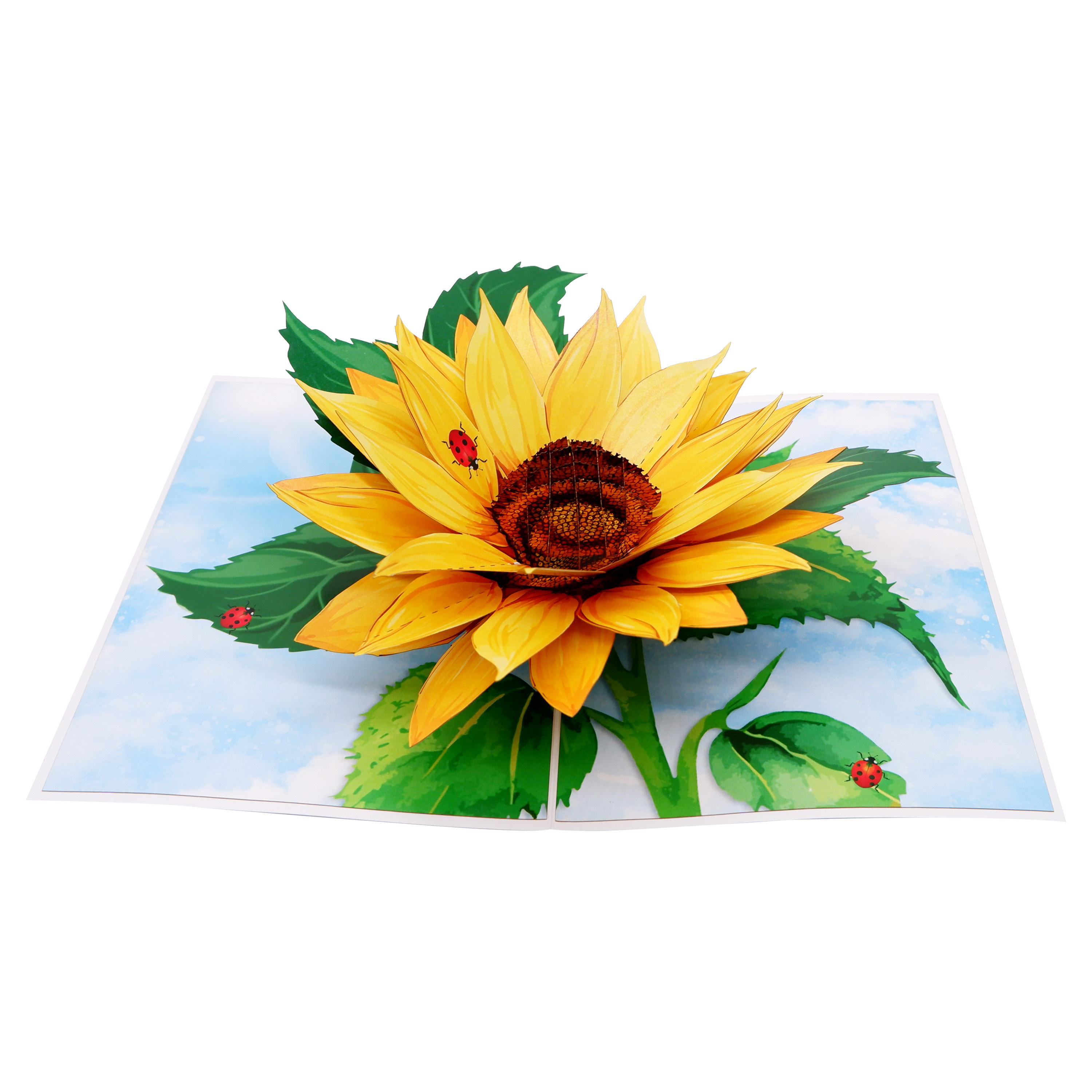 Sunflower Pop Up Greeting Card