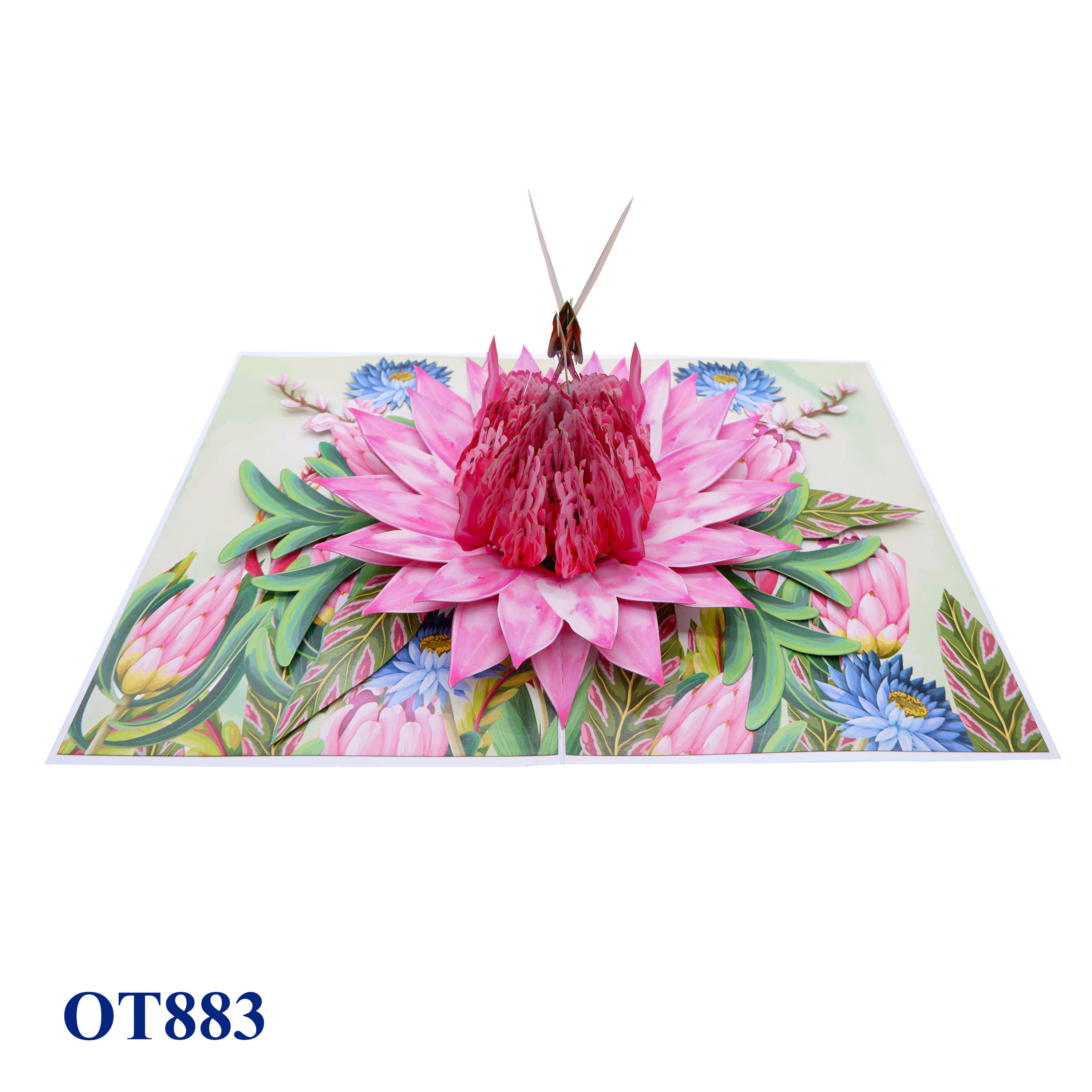 Pink Waratah Flowers Hummingbird Pop Up Card