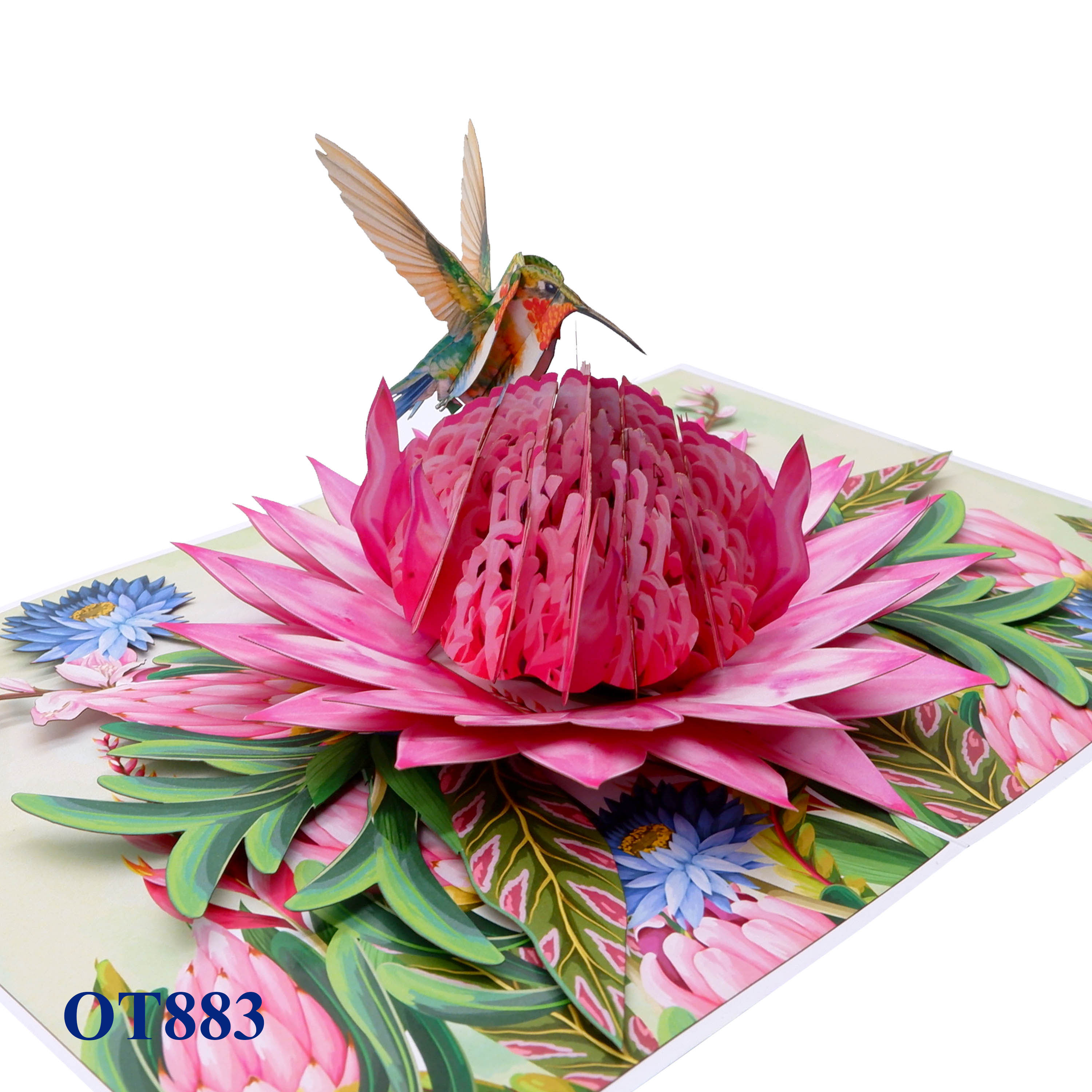 Pink Waratah Flowers Hummingbird Pop Up Card
