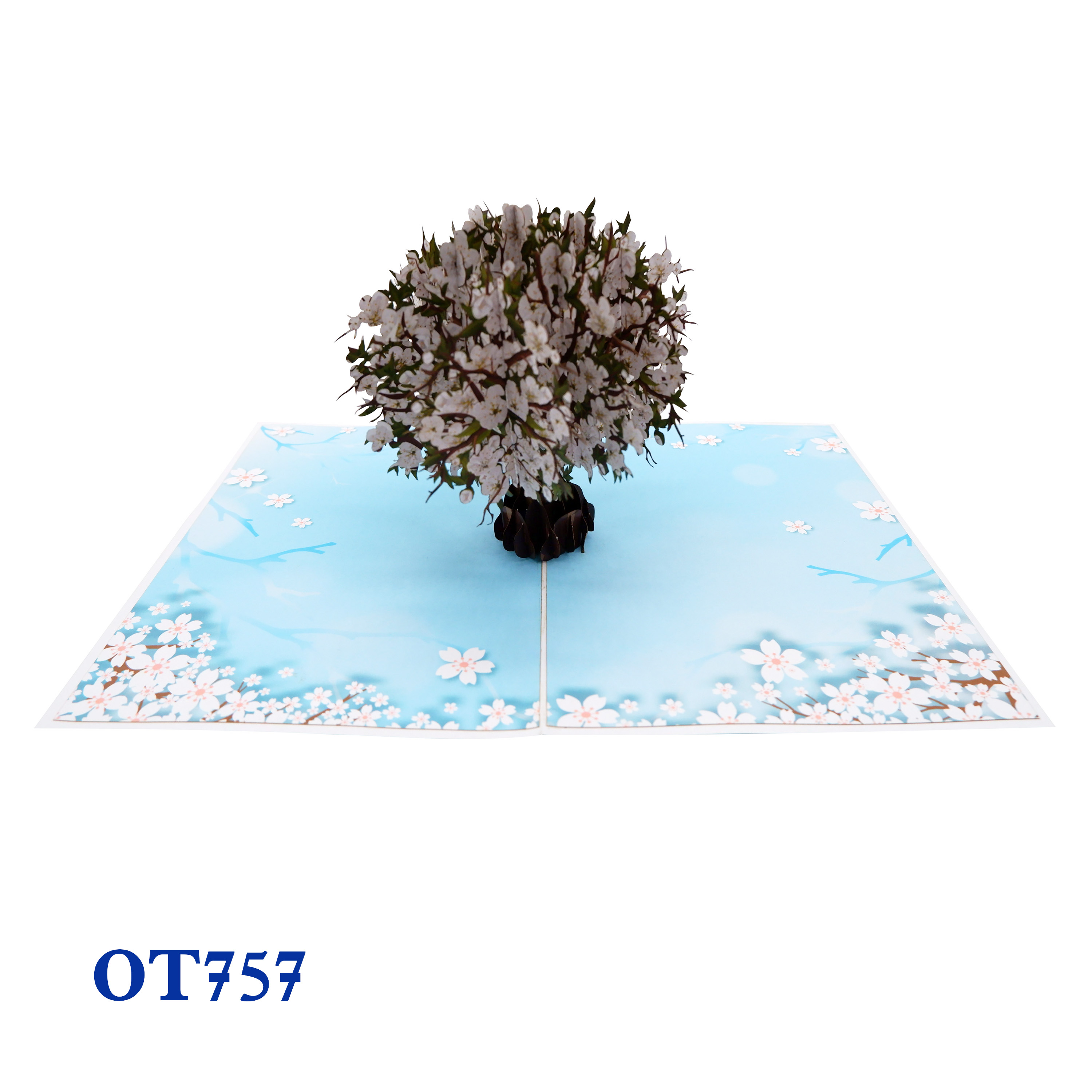 White Cherry Blossom Pop Up Card