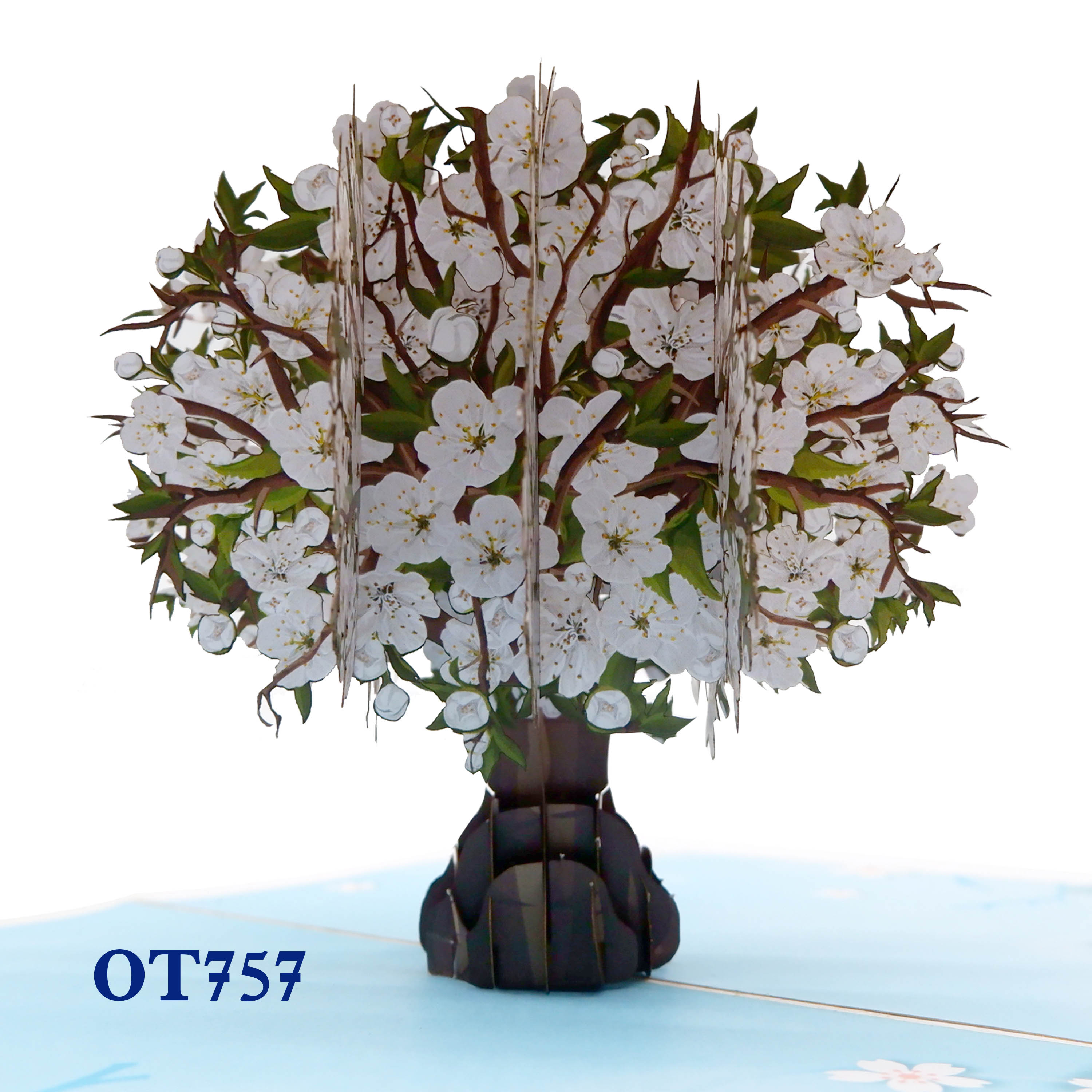 White Cherry Blossom Pop Up Card