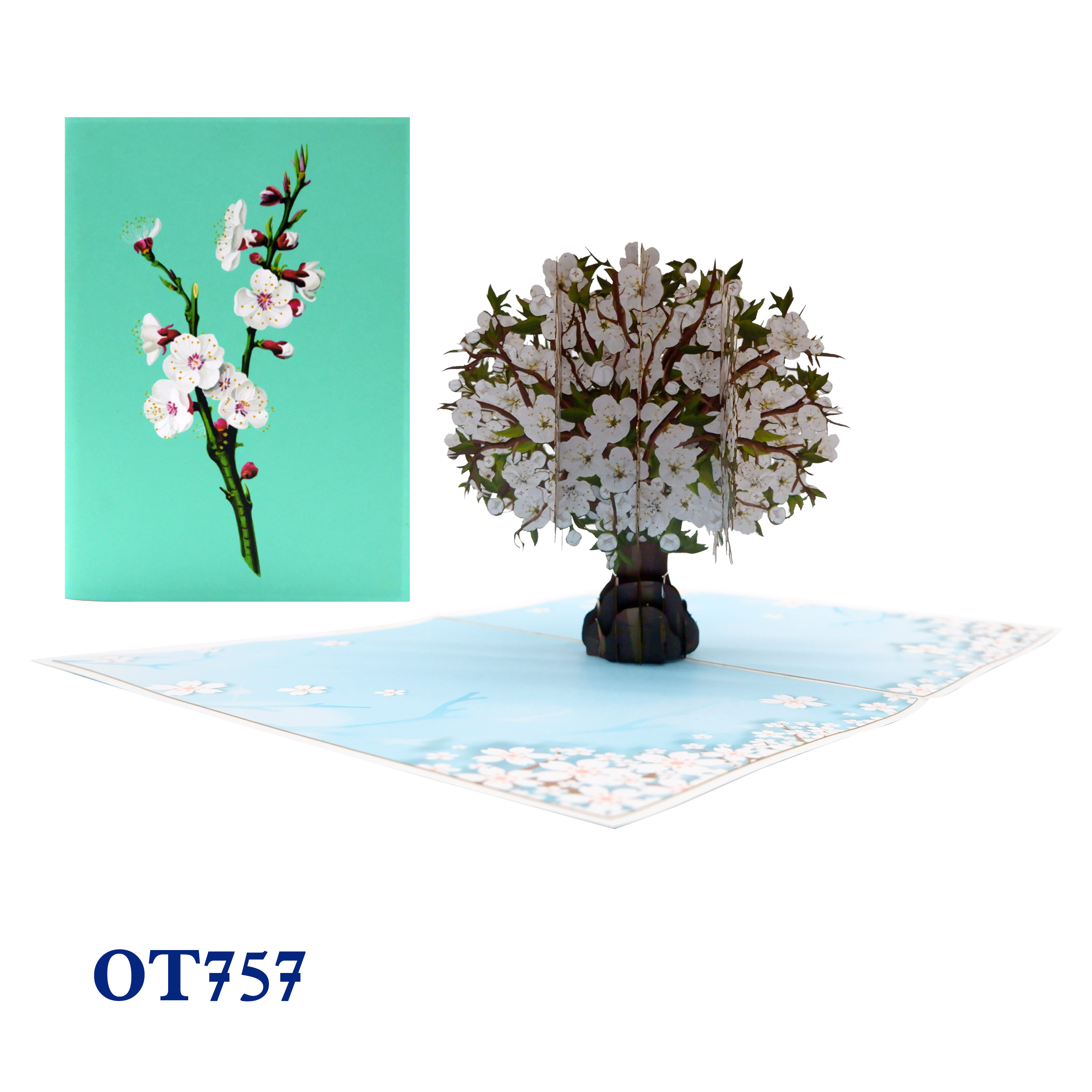 White Cherry Blossom Pop Up Card