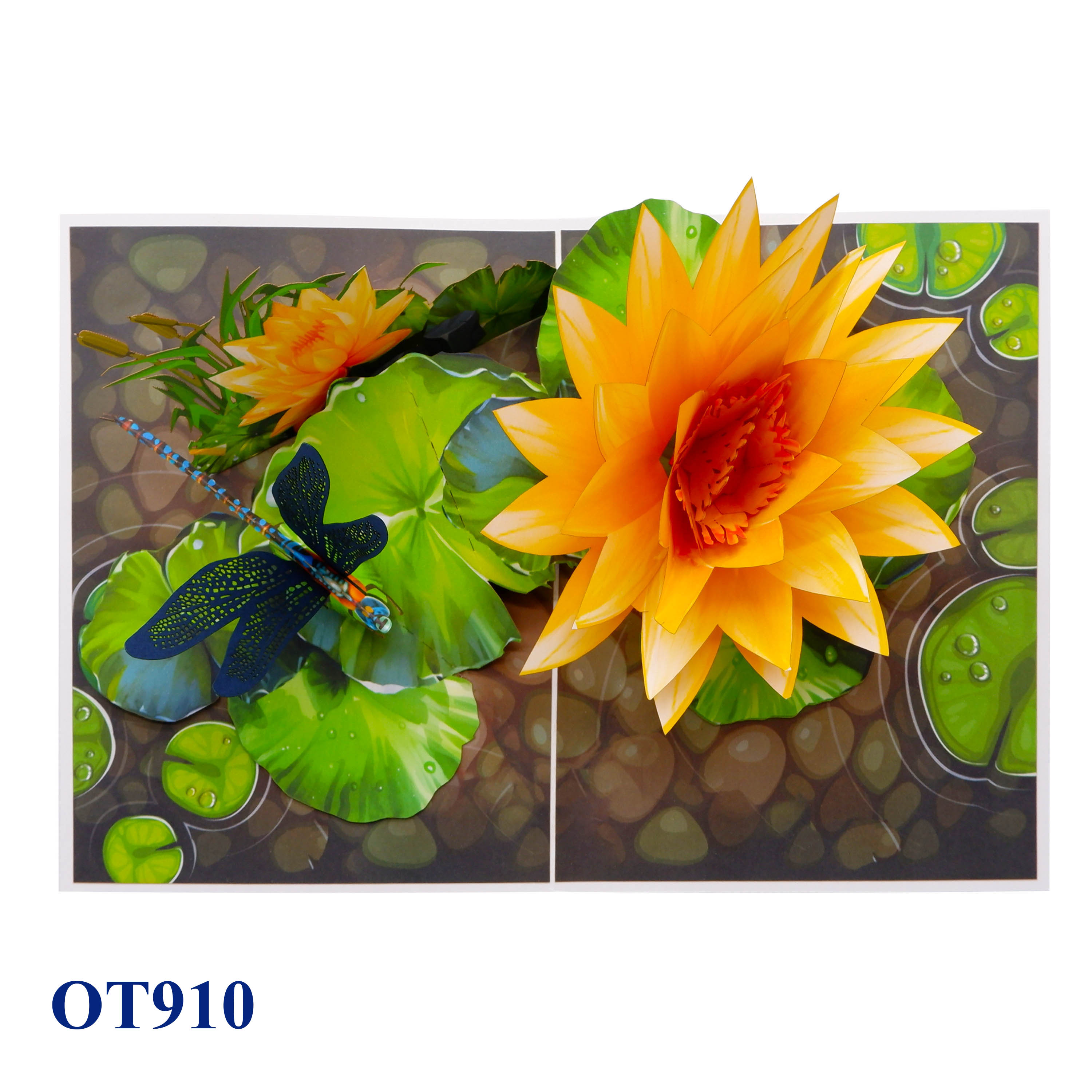 Yellow Water Lily Pop Up Greeting Card