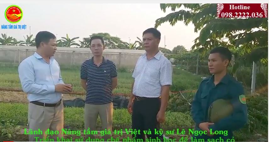 Nâng tầm giá trị Việt triển khai sử dụng làm cỏ sinh học tại khu quy hoạch rau sạch Phúc Thọ, Hà Nội.