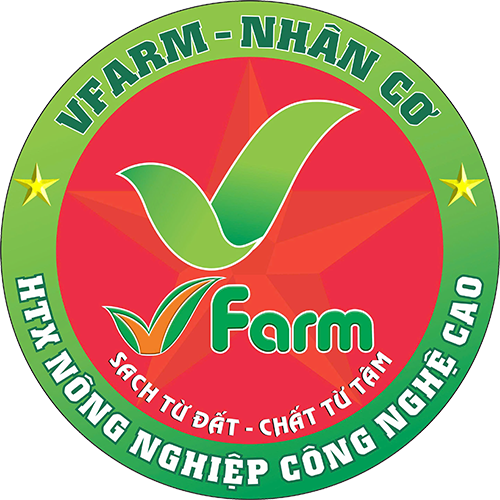 Logo Right
