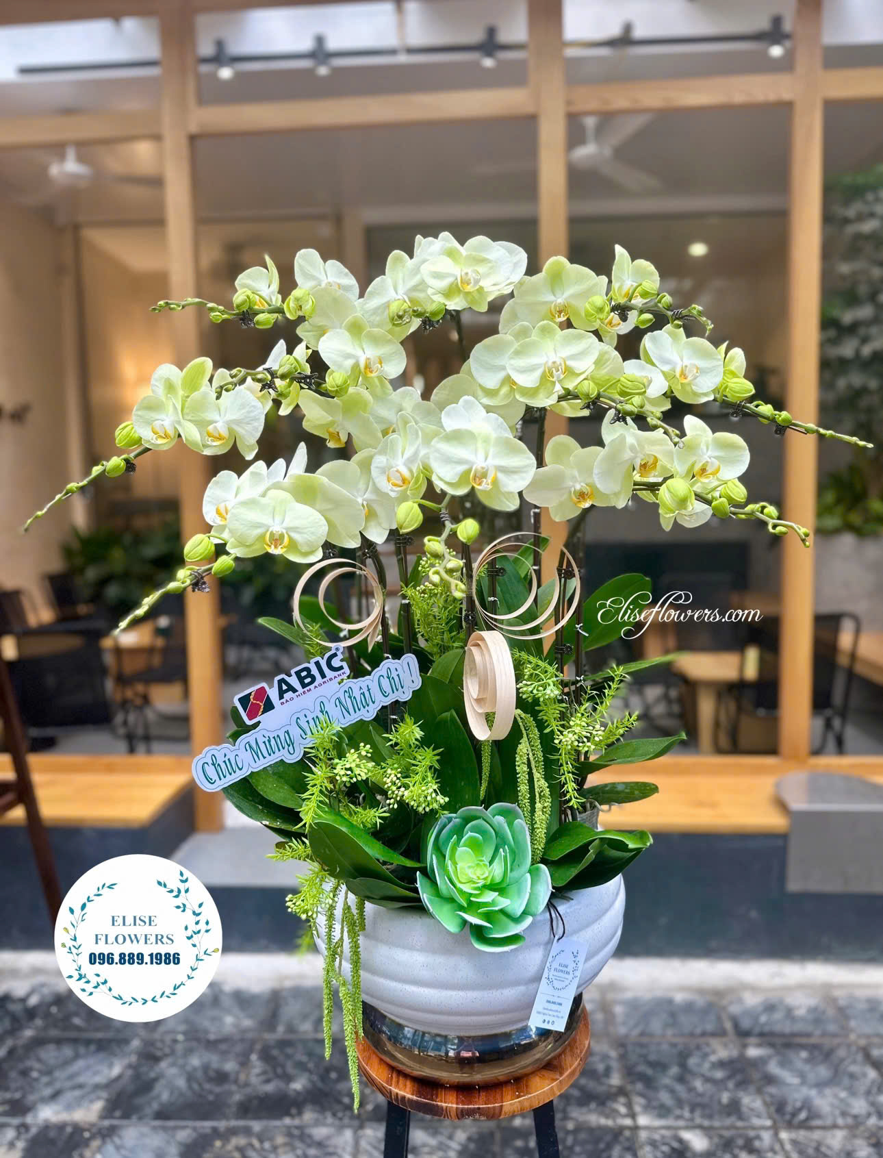 Chậu hoa lan hồ điệp đẹp ở Hà Nội. Shop hoa lan hồ điệp Đà Lạt uy tín đẹp chất lượng ở Hà Nội