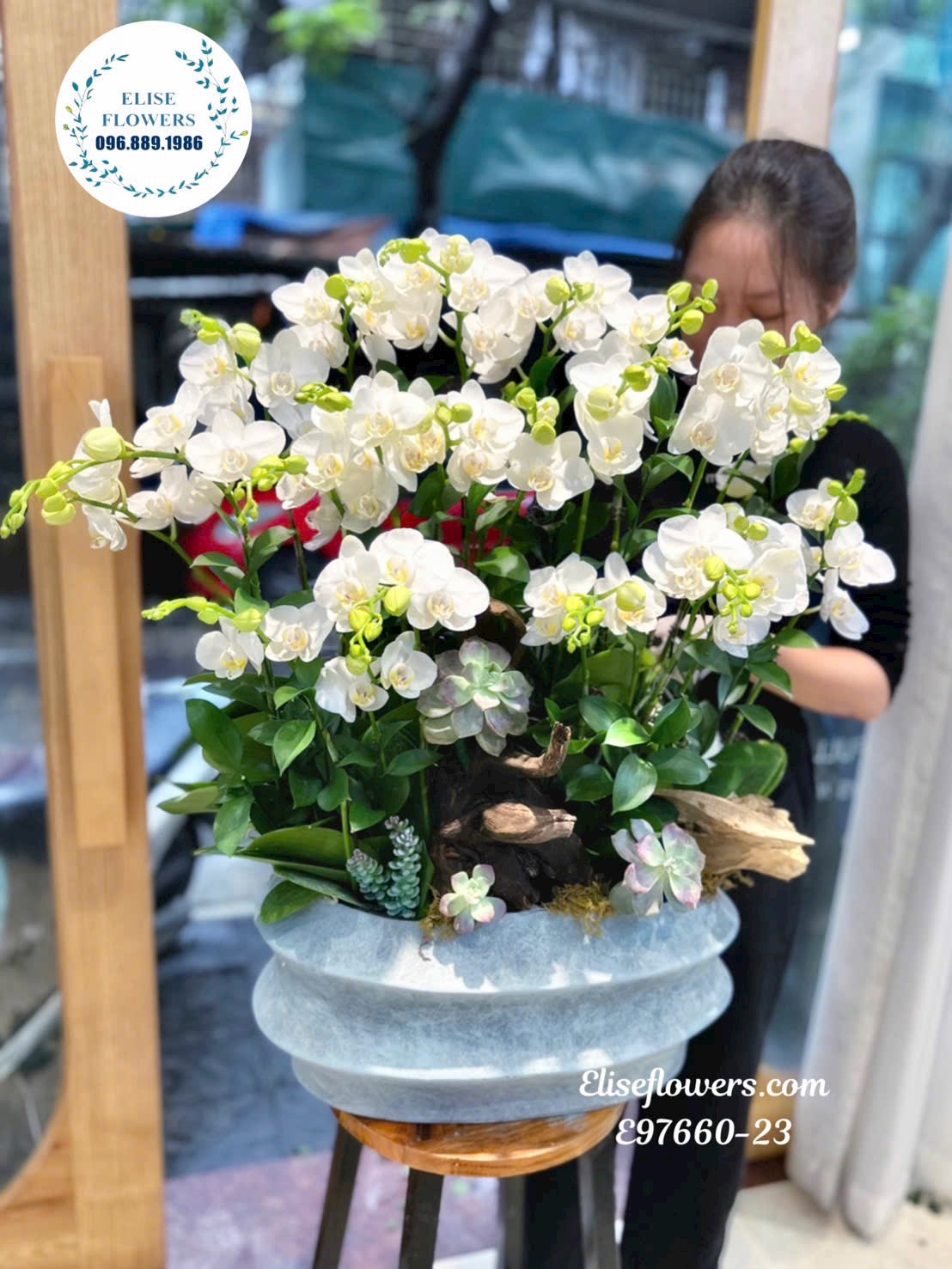 Lan hồ điệp cao cấp tặng đối tác. Chậu lan hồ điệp trắng tặng cao cấp. Điện hoa tươi Eliseflowers