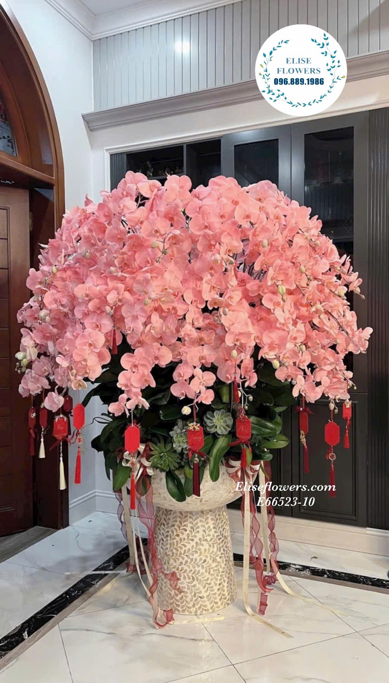 Lan hồ điệp tết. Chậu hoa lan hồ điệp tết 60 cành đẹp. Hoa lan hồ điệp tết Hà Nội.