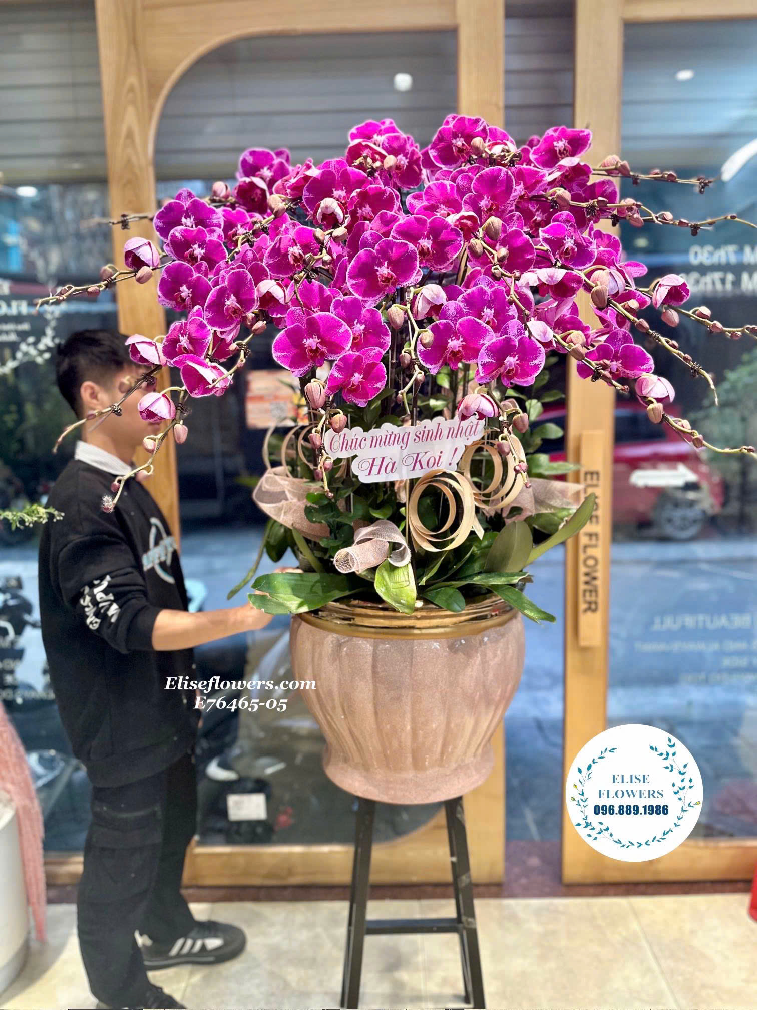 Hoa lan hồ điệp tím tặng khai trương. Shop hoa lan hồ điệp Hà Nội. Elise Flowers