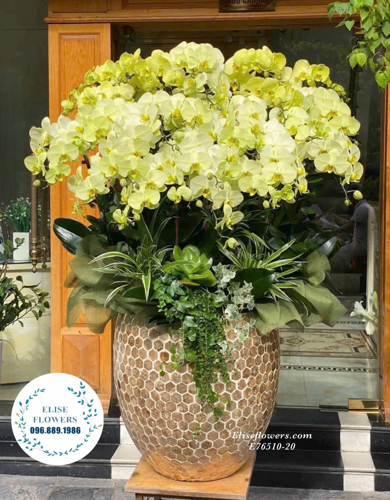 LAN HỒ ĐIỆP TẶNG SINH NHẬT SẾP . Chậu lan hồ điệp tặng sinh nhật sếp đẹp ở Hà Nội.