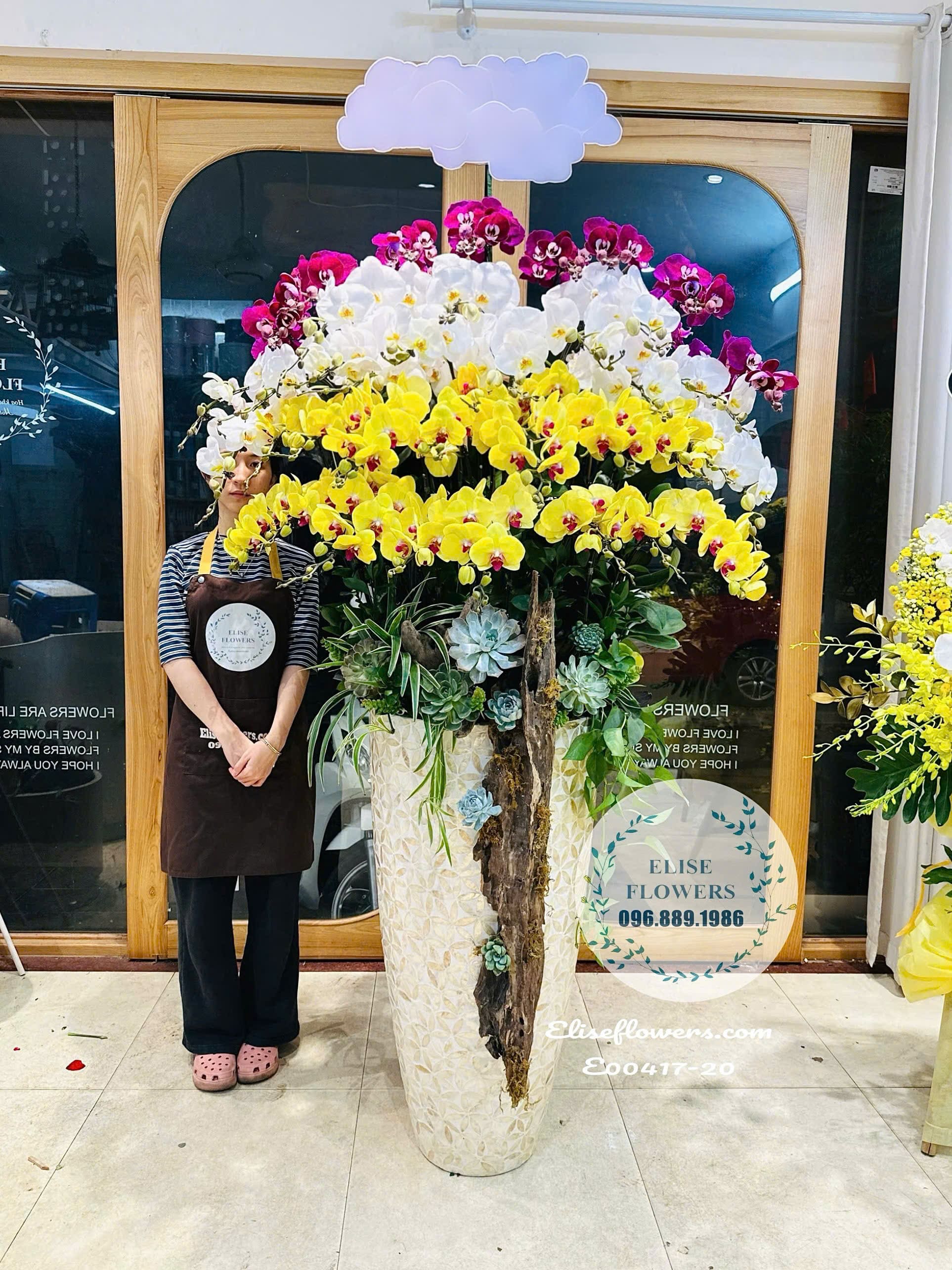 Lan Hồ Điệp Hà Nội. Chậu Lan Hồ Điệp Cao Cấp Chúc Mừng Sinh Nhật Lãnh Đạo| Eliseflowers- Điện Hoa Tươi, Lan Hồ Điệp Uy Tín Tại Hà Nội