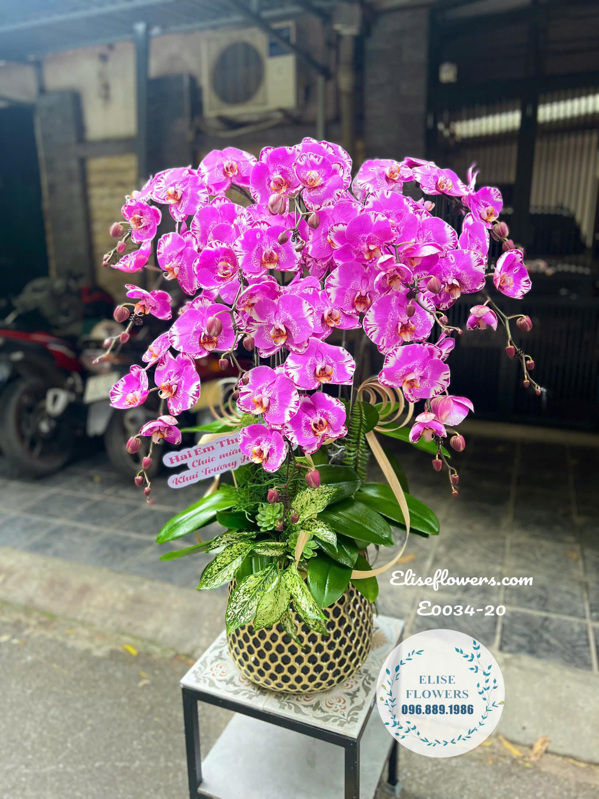 Chậu Lan Hồ Điệp Tím Hồng Cao Cấp- Quà Mừng Tinh Tế, Sang Trọng Và Ý Nghĩa Tại Eliseflowers