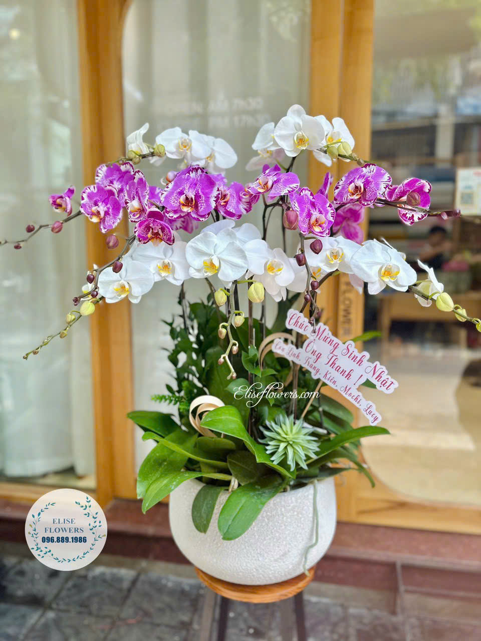 Chậu Lan Hồ Điệp 9 Cành Sang Trọng