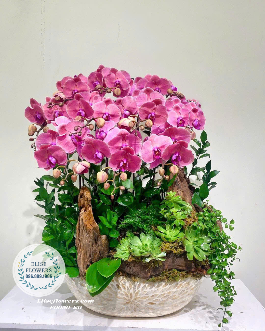 Lan Hồ Điệp Trắng Phớt Tím Kết Hợp Gỗ Lũa Tự Nhiên Tại Eliseflowers- Điện Hoa Tươi, Lan Hồ Điệp Uy Tín Hàng Đầu Hà Nội