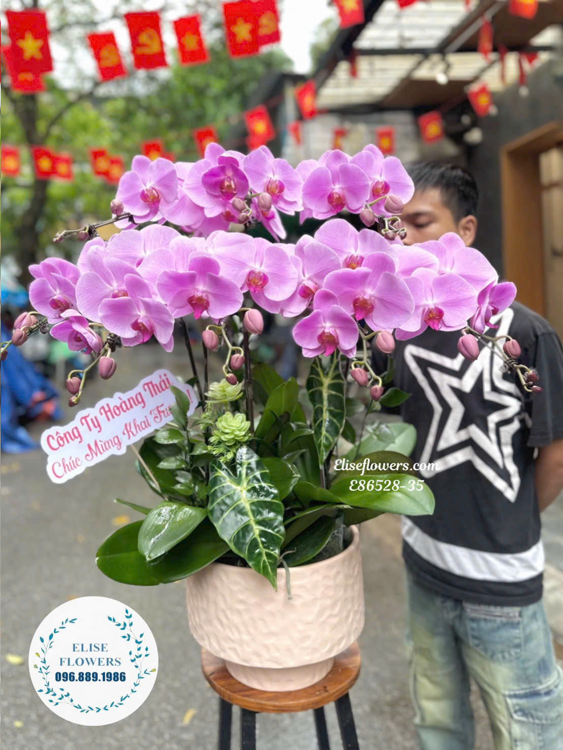 Chậu Lan Hồ Điệp Tím Sang Trọng Mừng Khai Trương| Eliseflowers