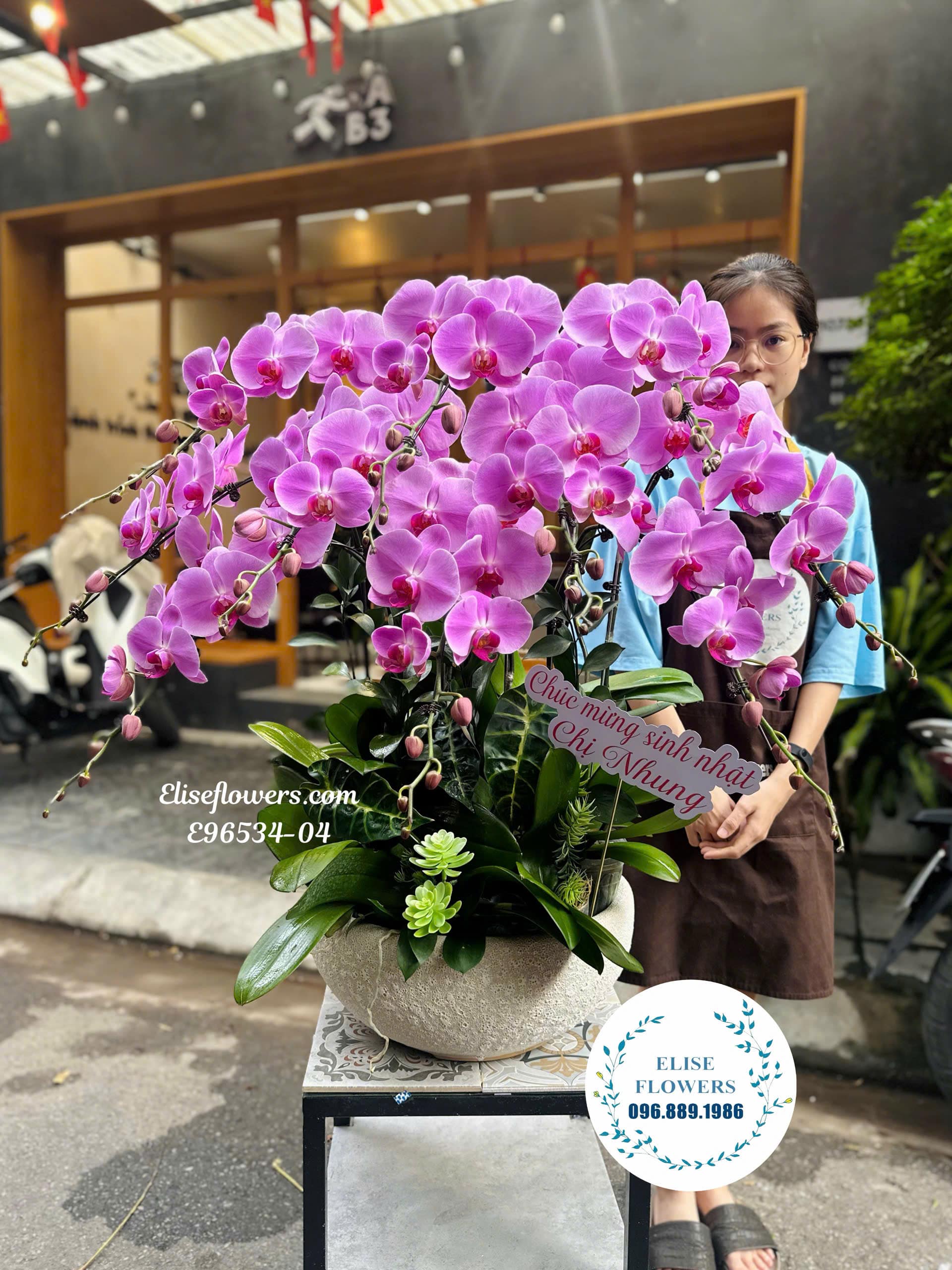 Lan Hồ Điệp Hà Nội. Chậu Lan Hồ Điêp Tím Cao Cấp Mừng Sinh Nhật Tại Cầu Giấy| Eliseflowers