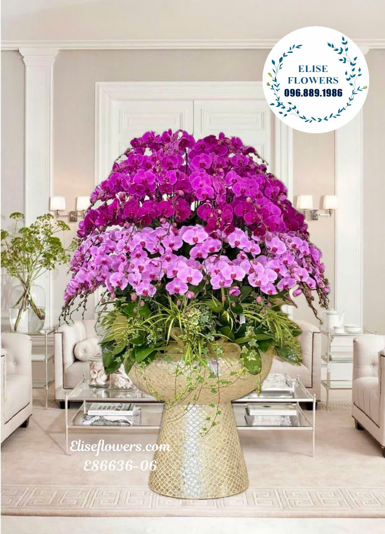 Chậu Lan Hồ Điệp 100 Cành Cao Cấp Trang Trí Sảnh Tiệc, Showroom Cao Cấp| Eliseflowers- Điện Hoa Tươi, Lan Hồ Điệp Cao Cấp Tại Hà Nội