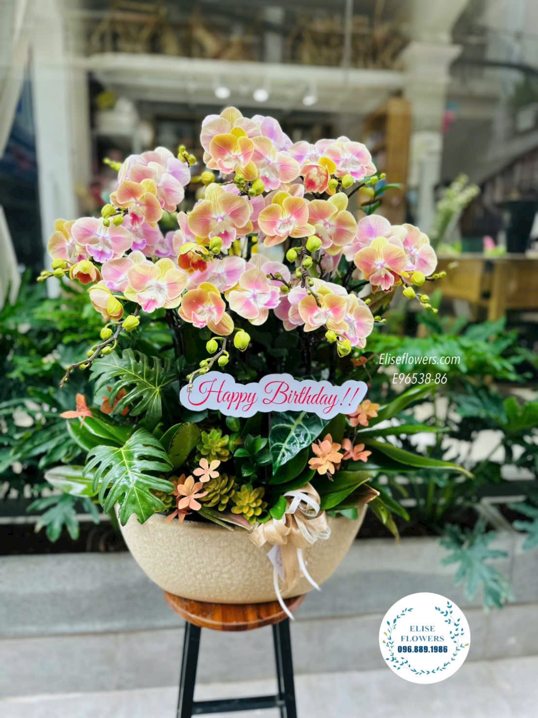 Chậu Lan Hồ Điệp Cam Vàng Sọc – Món Quà Sinh Nhật Sang Trọng Và Đẳng Cấp Tại Eliseflowers.