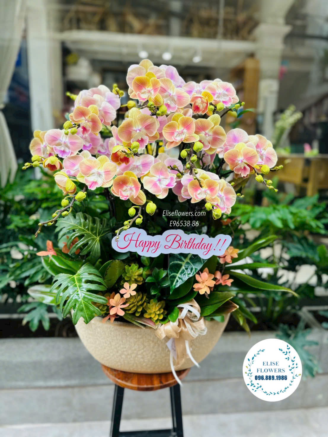 Chậu Lan Hồ Điệp Cam Vàng Sọc – Món Quà Sinh Nhật Sang Trọng Và Đẳng Cấp Tại Eliseflowers.