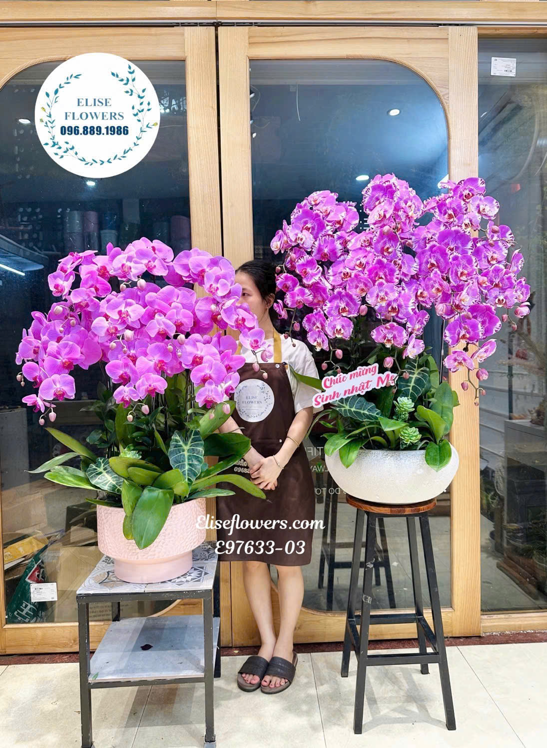 Mẫu Lan Hồ Điệp Tím Hồng Cao Cấp- Quà Tặng Sinh Nhật Sang Trọng Và Đầy Ý Nghĩa