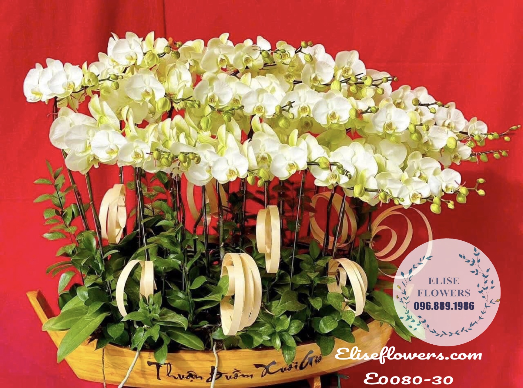 Thuyền Hoa Lan Hồ Điệp Độc Đáo Tại Hà Nội