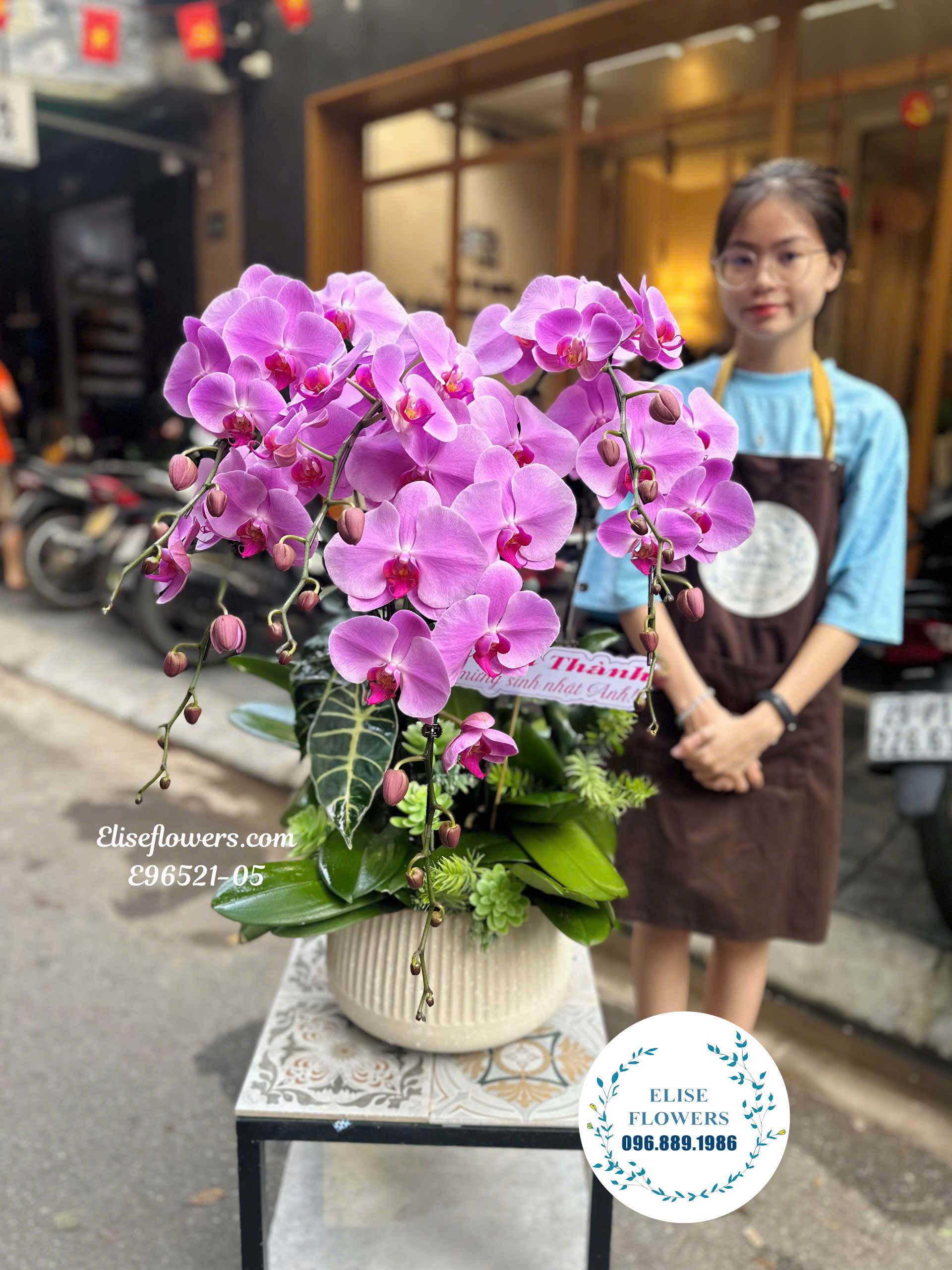 Lan Hồ Điệp Hà Nội- Chậu Lan Hồ Điệp 7 Cành Cao Cấp Làm Quà Tặng| Eliseflowers