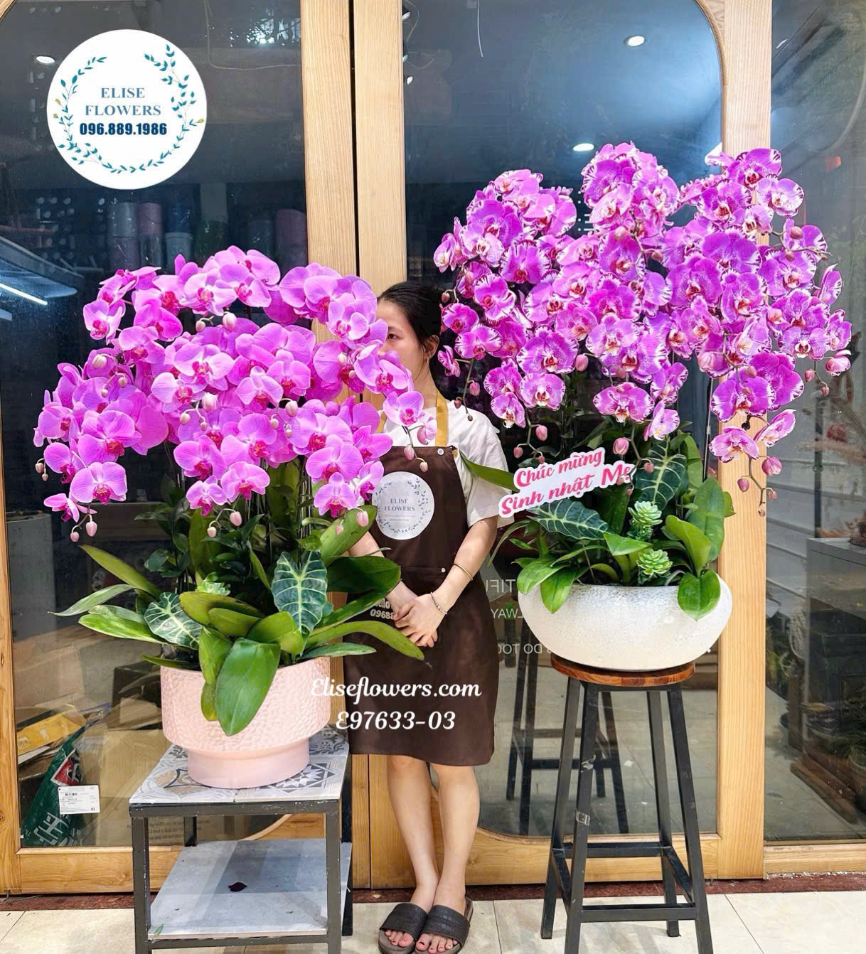 Mẫu Lan Hồ Điệp Tím Hồng Cao Cấp- Quà Tặng Sinh Nhật Sang Trọng Và Đầy Ý Nghĩa