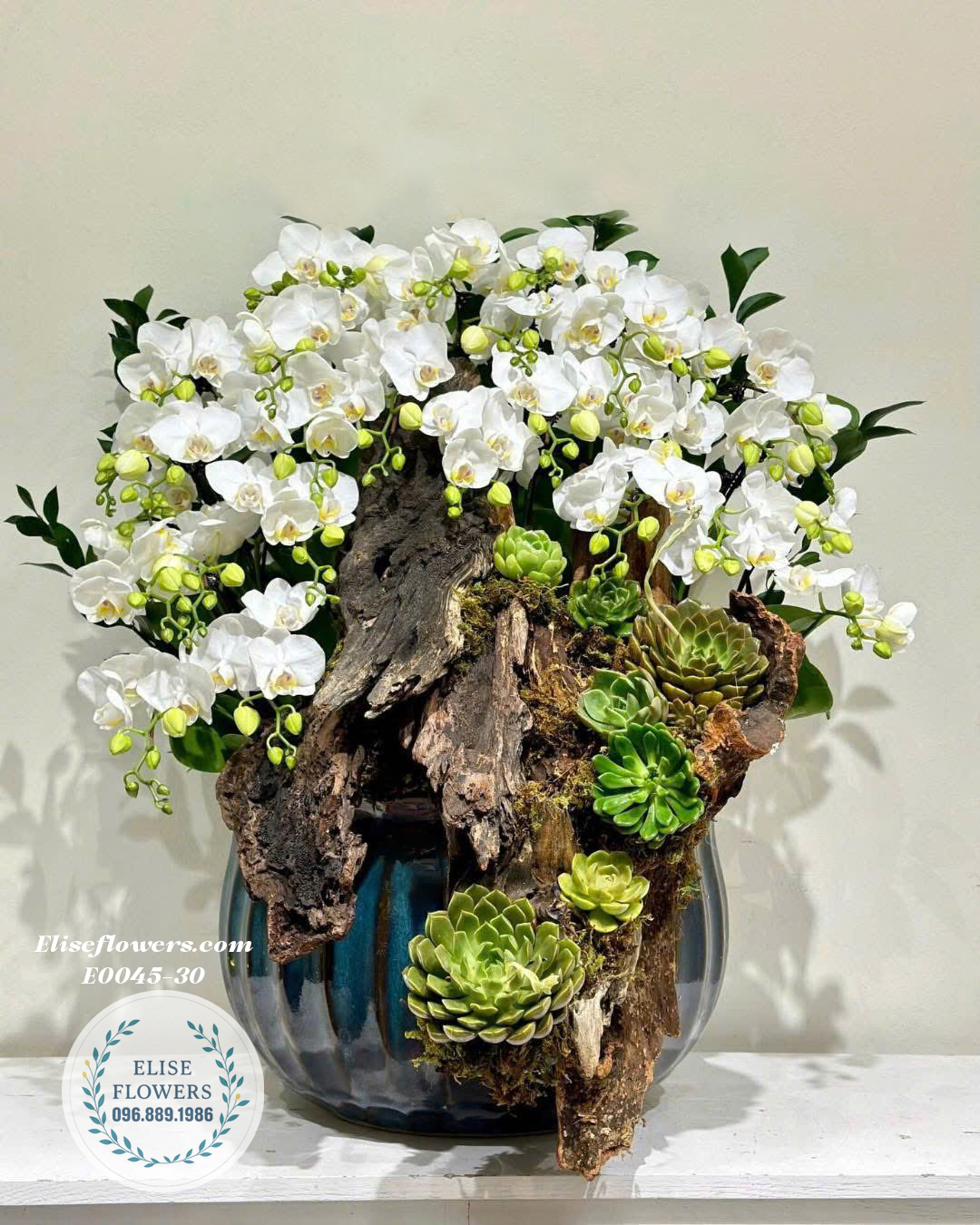 Chậu Lan Hồ Điệp Trắng Ghép Lũa Cao Cấp- Món Quà Tặng Bố Sang Trọng Và Ý Nghĩa| Eliseflowers.com