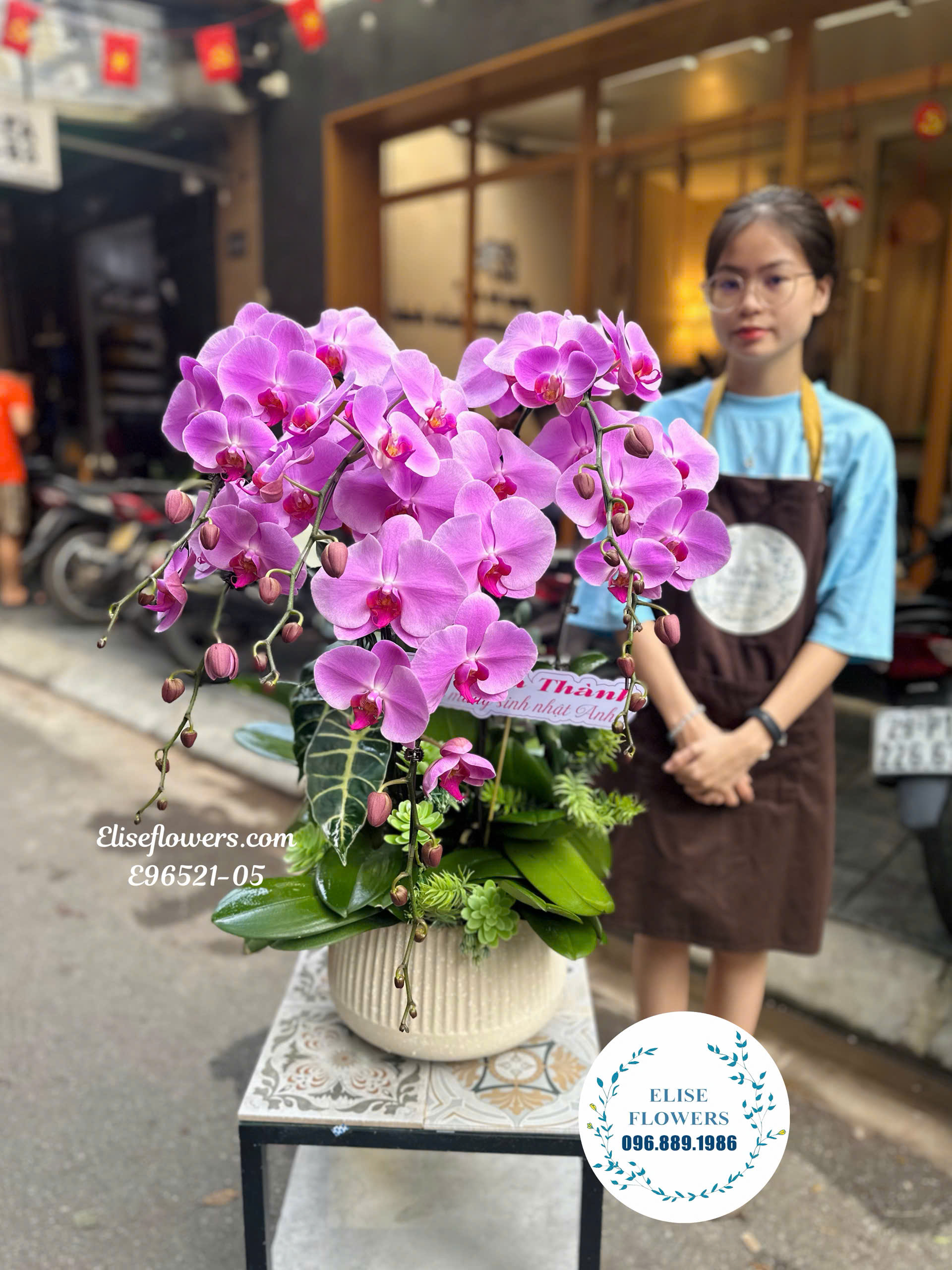 Lan Hồ Điệp Hà Nội- Chậu Lan Hồ Điệp 7 Cành Cao Cấp Làm Quà Tặng| Eliseflowers