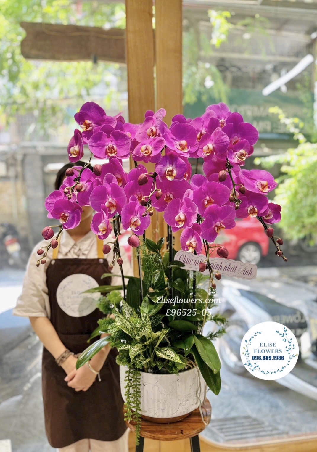 Chậu Lan Hồ Điệp Tím 7 Cành Cao Cấp Tặng Bạn