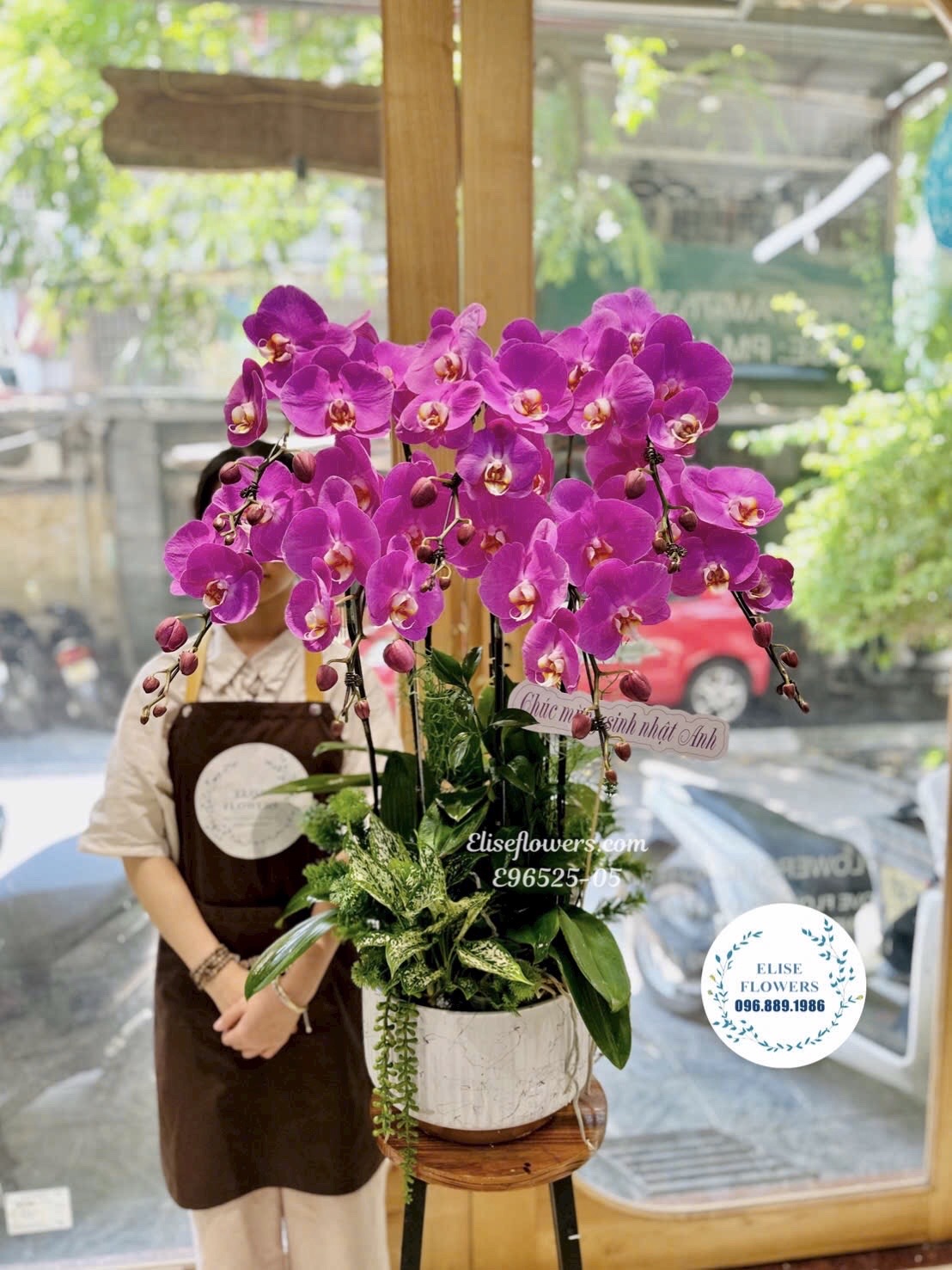 Lan Hồ Điệp Cao Cấp Tại Hà Nội. Chậu Lan Hồ Điệp Tím 7 Cành Cao Cấp Tặng Bạn