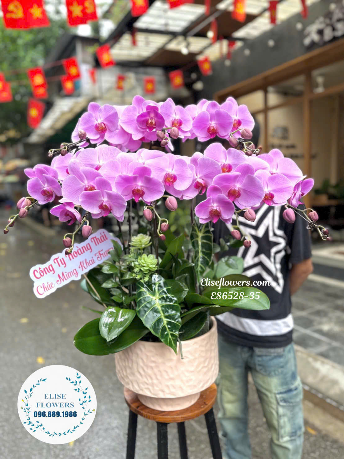 Chậu Lan Hồ Điệp Tím Cao Cấp Mừng Khai Trương| Eliseflowers