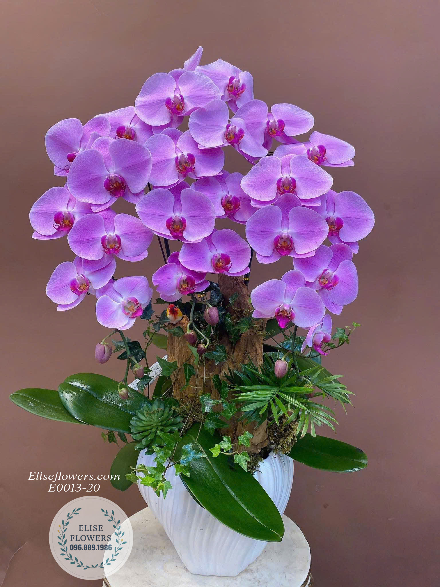 Mẫu Lan Hồ Điệp Hồng Ghép Lũa Độc Đáo Tại Eliseflowers- Điện Hoa Tươi, Lan Hồ Điệp Uy Tín Tại Hà Nội