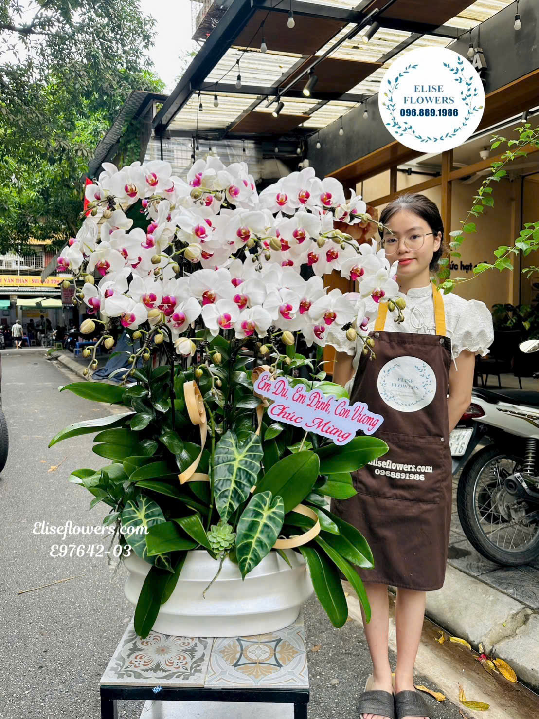 Chậu Lan Hồ Điệp Trắng Cao Cấp- Quà Tặng Sang Trọng Và Ý Nghĩa