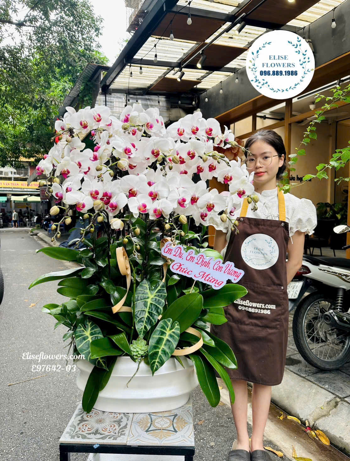 Chậu Lan Hồ Điệp Trắng Cao Cấp- Quà Tặng Sang Trọng Và Ý Nghĩa