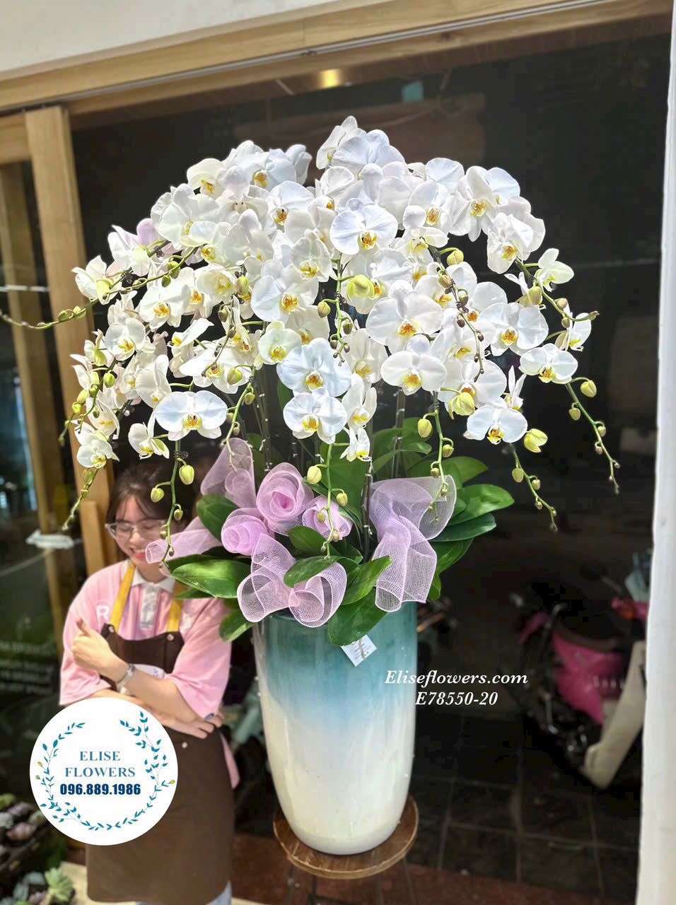 Chậu Lan Hồ Điệp Trắng 15 Cành Trang Trí Sảnh Văn Phòng