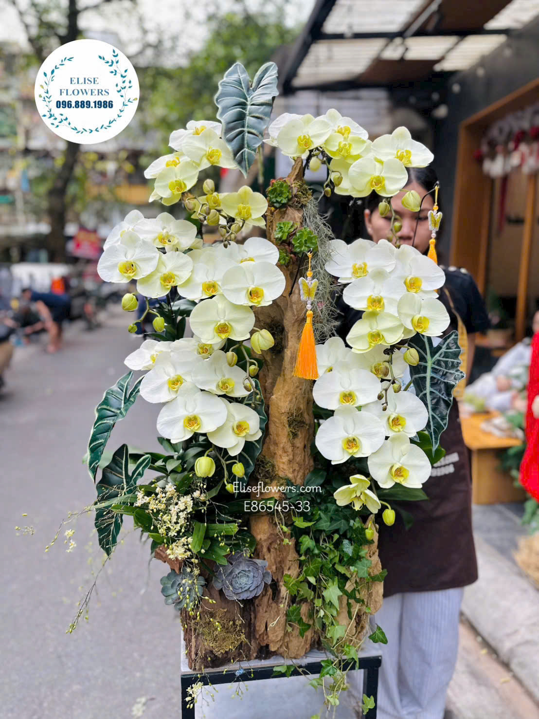 Lan hồ điệp Hà Nội. Lan hồ điệp ghép lũa xanh táo nghệ thuật cao cấp tặng đối tác.