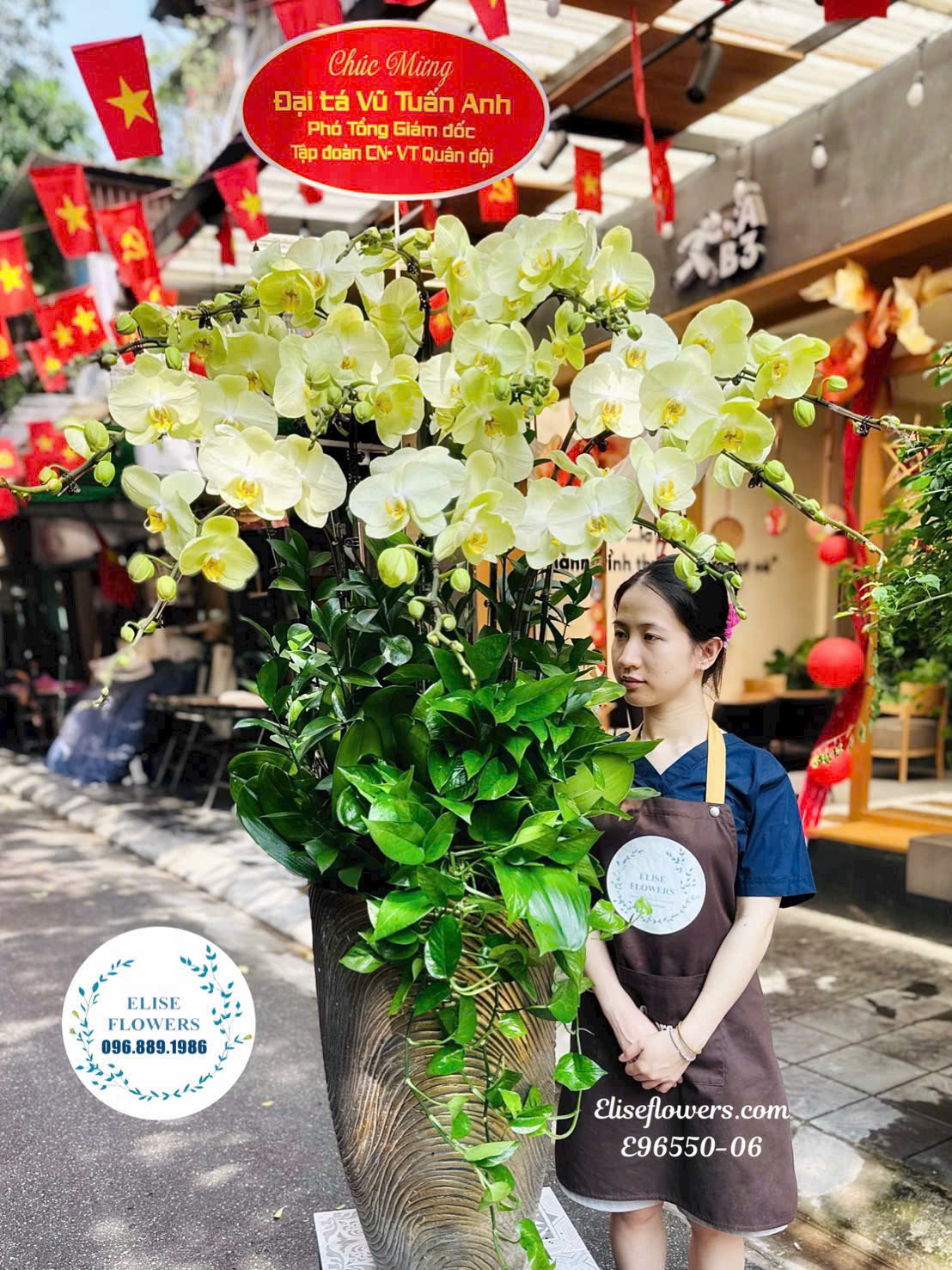Chậu Lan Hồ Điệp Xanh Táo Cao Cấp Giá Tốt Tặng Lãnh Đạo Tại Cầu Giấy