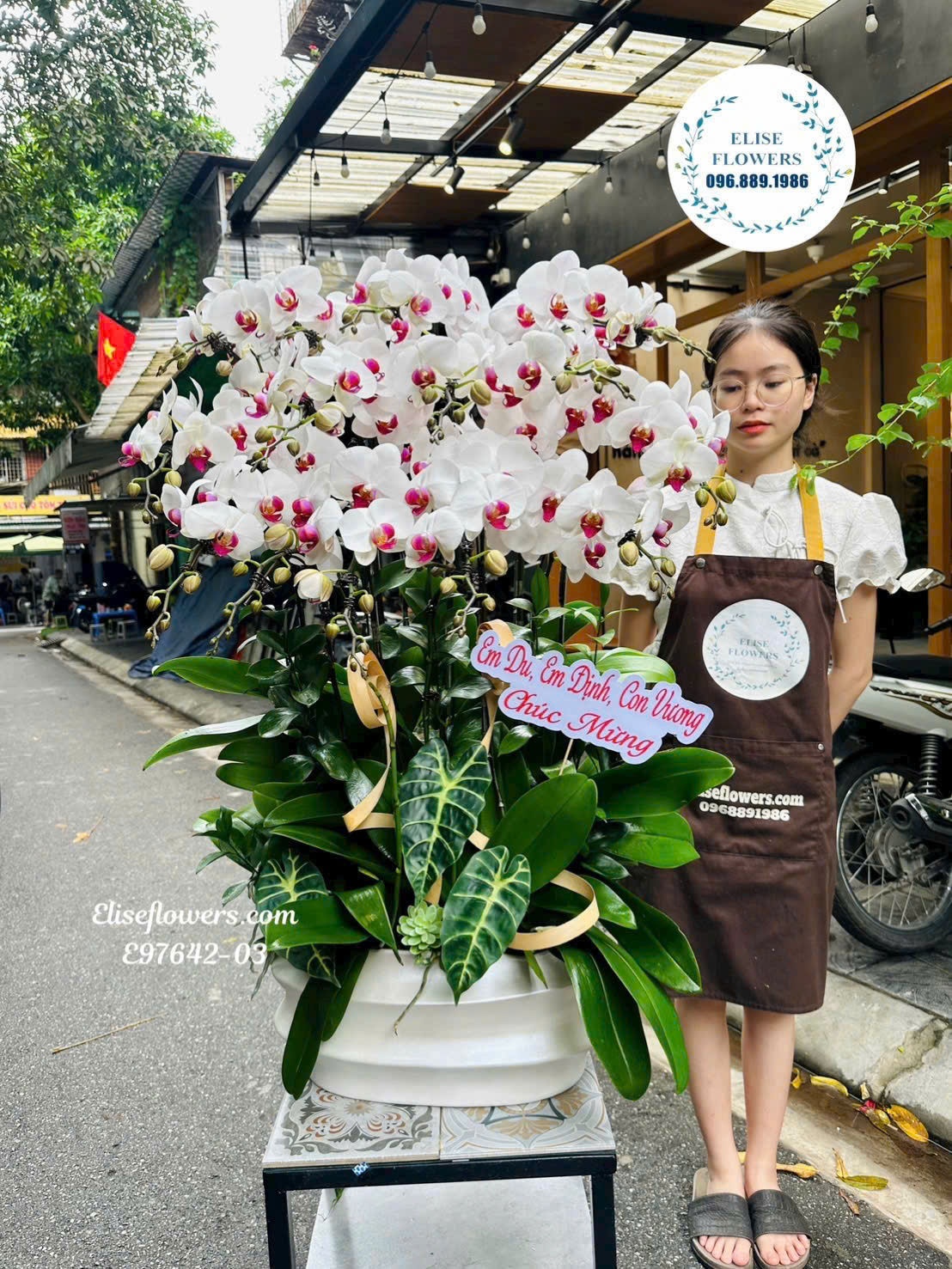 Chậu Lan Hồ Điệp Trắng Cao Cấp- Quà Tặng Sang Trọng Và Ý Nghĩa