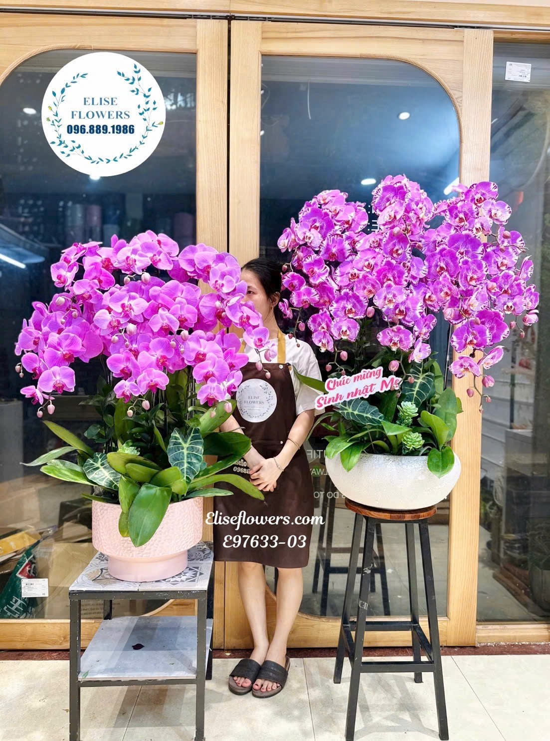 Mẫu Lan Hồ Điệp Tím Hồng Cao Cấp- Quà Tặng Sinh Nhật Sang Trọng Và Đầy Ý Nghĩa