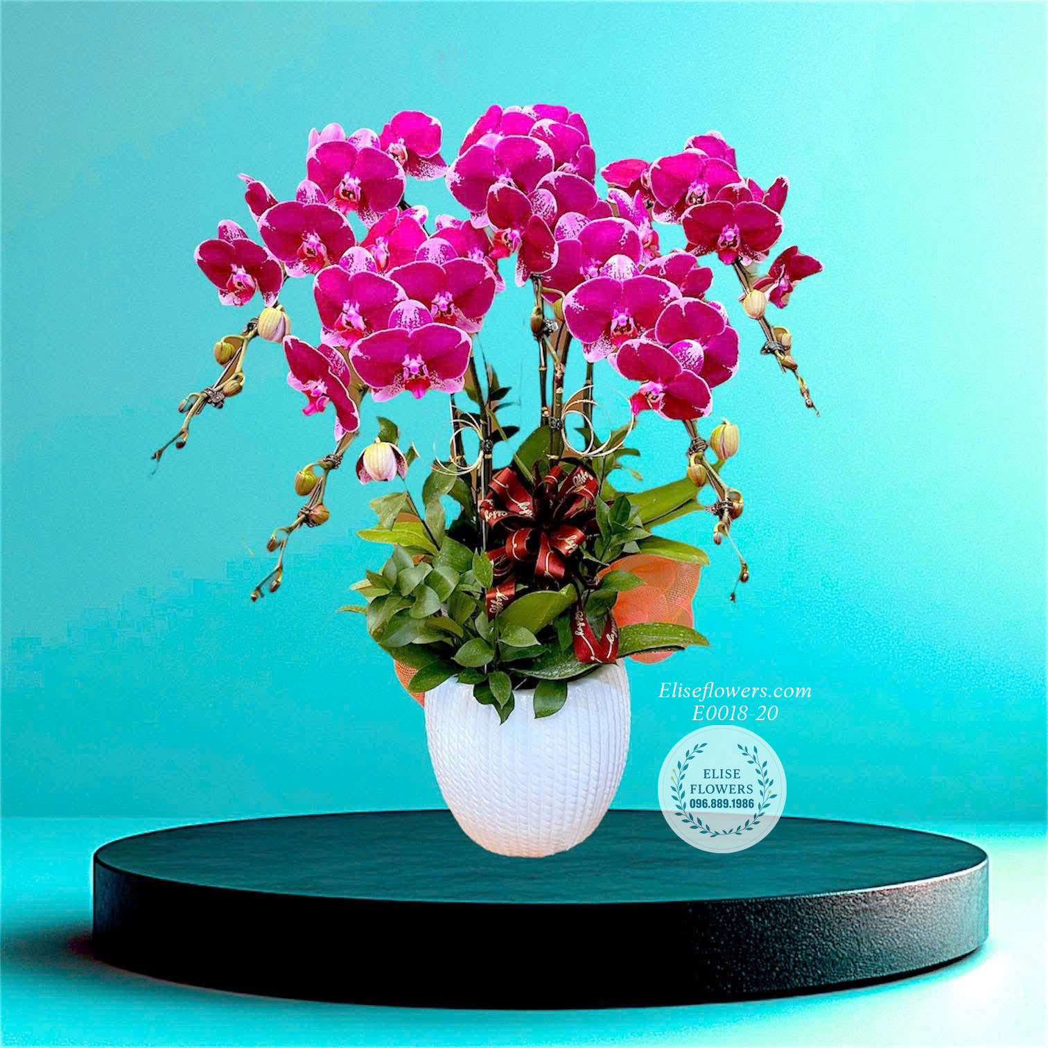 Chậu Lan Hồ Điệp 5 Cành Với Sắc Hồng Lãng Mạn- Món Quà Tặng Ý Nghĩa, Tô Điểm Không Gian Sống Thêm Phần Sang Trọng| Eliseflowers