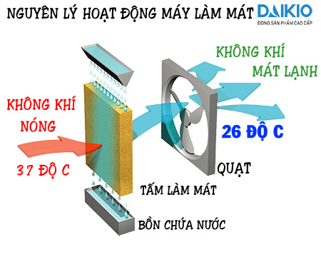 So sánh máy làm mát Nakami và Symphony