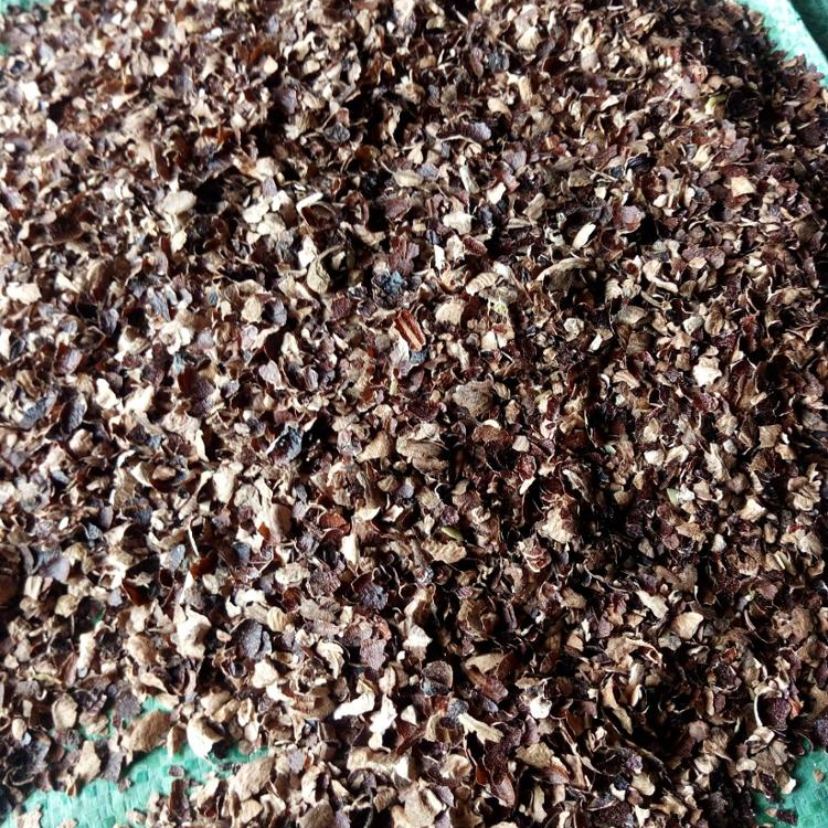 CASHEW HUST - CASHEW HUSK POWDER - CASHEW HUSK PELLET - CASHEW NUT SHELL