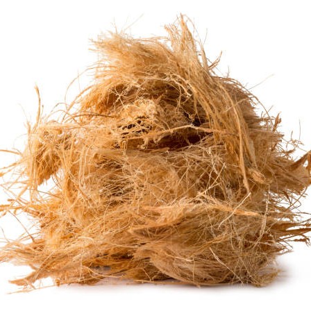 Coconut Coir Fiber – A Sustainable Natural Solution for Global Industries