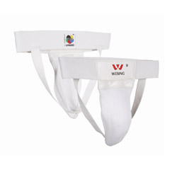 Bảo vệ háng 1407A1