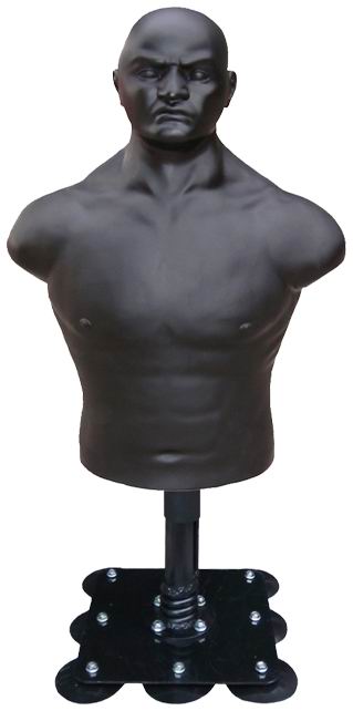 Model : 213