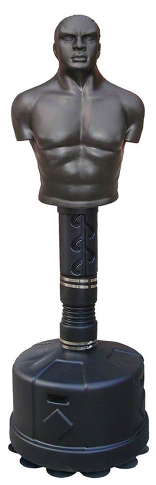Model : 385
