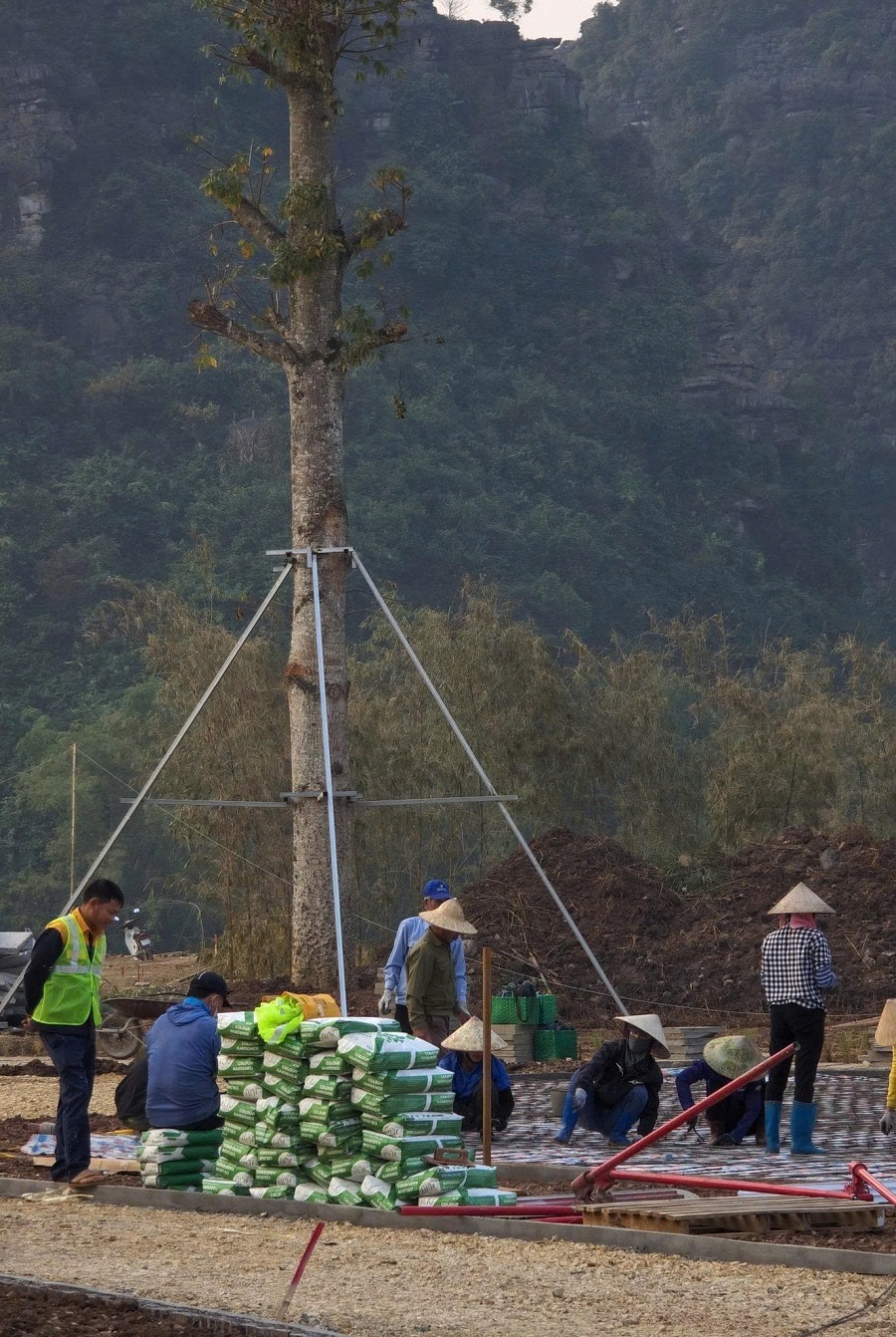 Thi công bê tông áp khuôn mô phỏng đá tự nhiên tại đảo Khê Cốc, Tràng An