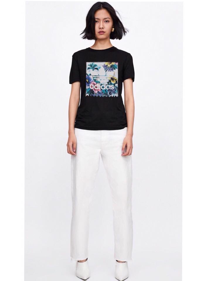 Áo thun cotton 100%