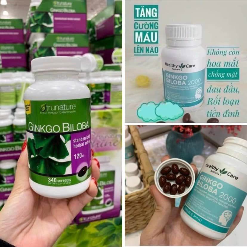 GINKGO BILOBA- BỔ NÃO